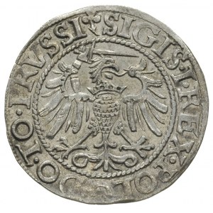 grosz 1540, Elbląg, ładny