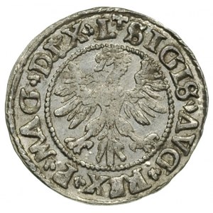 półgrosz 1546, Wilno, w literach A brak poprzeczek, Iva...