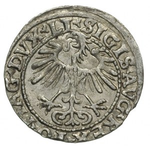 półgrosz 1554, Wilno, Ivanauskas 4SA51-16, T. 12, rzadk...