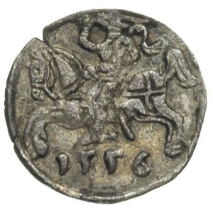 denar 1556, Wilno, odmiana z małą datą, Ivanauskas 2SA1...