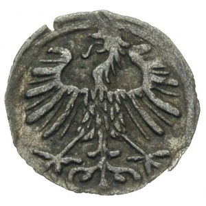 denar 1557, Wilno, Ivanauskas 2SA16-6, T. 10, patyna