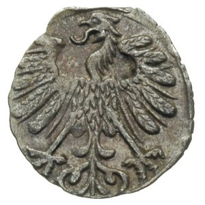 denar 1558, Wilno, Ivanauskas 2SA18-8, T. 4