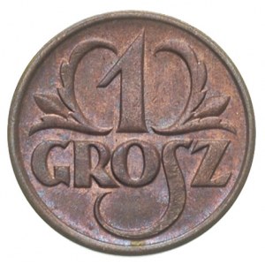 1 grosz 1927, Warszawa, Parchimowicz 101.c, wyśmienity ...