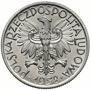 5 złotych 1958, Warszawa, odmiana z wąską cyfrą 8 w dac...