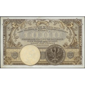 1.000 złotych 28.02.1919, Miłczak 55a, Lucow 599 (R5), ...