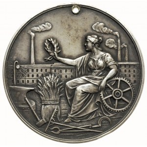 medal z Wystawy Rolniczo-Przemysłowej - Żółkiew 1910 r,...