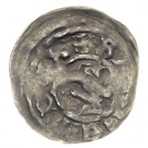 Barnim I 1220-1278, denar po 1264, Szczecin, Aw: Popier...