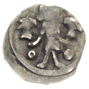 Barnim I 1220-1278, denar po 1264, mennica nieustalona,...