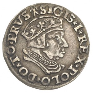 trojak 1537, Gdańsk, Iger G.37.1.b (R1), T. 2, patyna