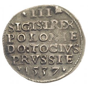 trojak 1537, Elbląg, Iger E.37.1.b, (R3), patyna, rzadk...