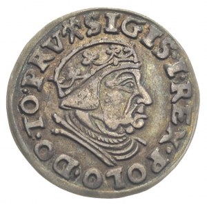 trojak 1539, Gdańsk, Iger G.39.1.c (R1), patyna