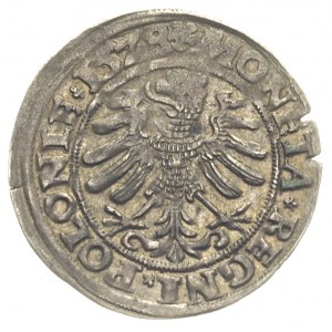 grosz 1528, Kraków, ładnie zachowany, patyna