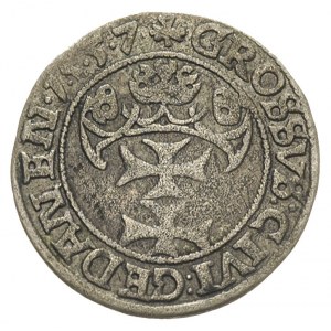grosz 1557, Gdańsk,  typ późniejszy z dużą głową króla,...