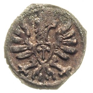 denar 1607, Poznań, T.5
