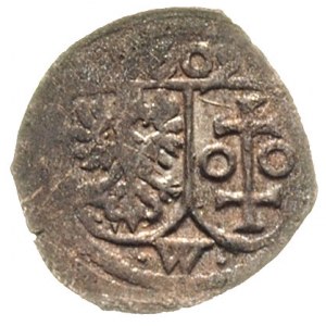 denar jednostronny 1609, Wschowa, T.9