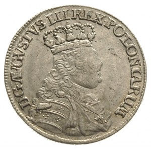 ort 1754, Lipsk, wąskie popiersie i mała głowa króla, M...
