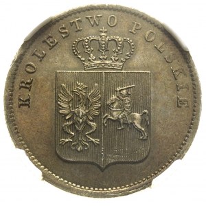 2 złote 1831,  Warszawa, Plage 273, moneta w pudełku NG...