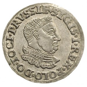 trojak dla ziem pruskich 1535, Toruń, odmiana popiersie...