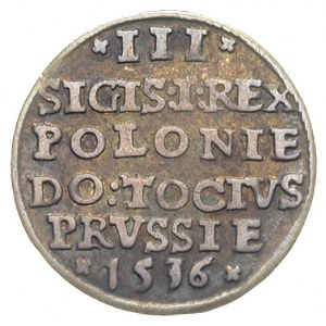 trojak 1536, Elbląg, T. 2, rzadszy rocznik, ciemna star...