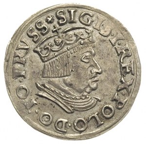 trojak 1537, Gdańsk, wąska głowa króla, Iger G.37.1.b (...