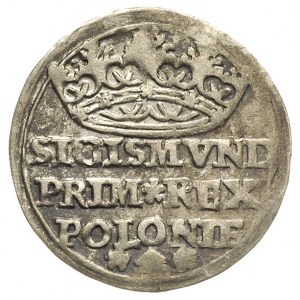 grosz 1529, Kraków, moneta wybita lekko uszkodzonym ste...
