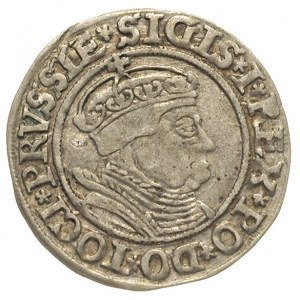 grosz 1535, Toruń, duże popiersie króla
