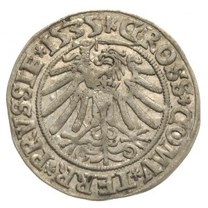 grosz 1535, Toruń, duże popiersie króla