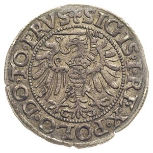 grosz 1539, Elbląg, ładny egzemplarz, ciemna patyna