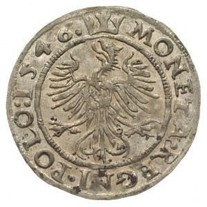 grosz 1546, Kraków, piękny