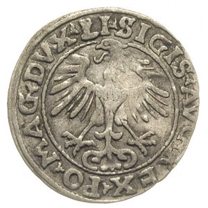 półgrosz 1554, Wilno, Ivanauskas 4SA51-16, T. 12, rzadk...