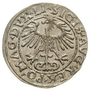 półgrosz 1555, Wilno, Ivanauskas 4SA55-16, piękny egzem...