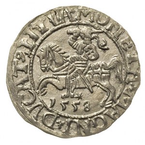 półgrosz 1558, Wilno, Ivanauskas 4SA84-24, piękny egzem...