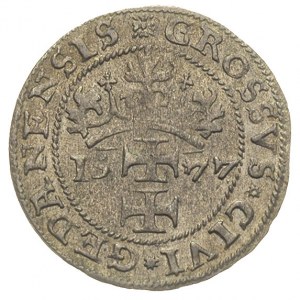 grosz oblężniczy 1577, Gdańsk,  moneta \bez kawki\ wyb...