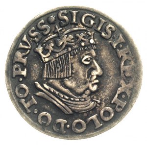 trojak 1537, Gdańsk, na awersie końcówka napisu PRVSS, ...