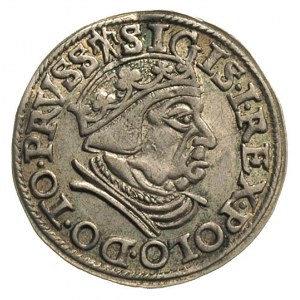 trojak 1538, Gdańsk, na awersie końcówka napisu PRVSS, ...