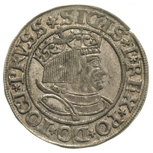grosz 1533, Toruń, odmiana popiersia - na głowie tylko ...