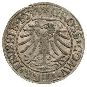 grosz 1533, Toruń, odmiana popiersia - na głowie tylko ...