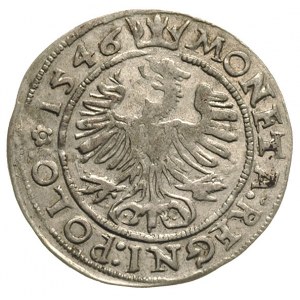 grosz 1546, Kraków, ładny egzemplarz