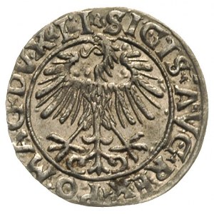 półgrosz 1556, Wilno, Ivanauskas 4SA59-16