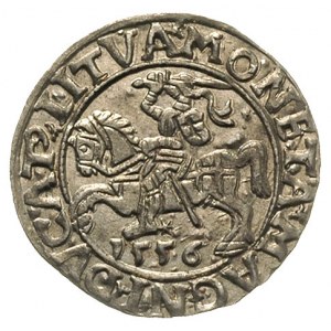półgrosz 1556, Wilno, Ivanauskas 4SA59-16