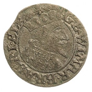 grosz 1625, Królewiec, Olding 51.a, Neumann 10.108, bar...