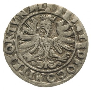 grosz 1568, Cieszyn, odmiana napisu TESINE, data po bok...