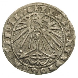 grosz bielski, 1570, Bielsko, F.u.S. 2977, rzadki