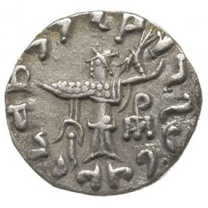 Baktria, Apollodot II 110-80 pne, drachma, mennica Taxi...