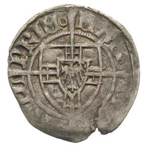 Michał Küchmeister von Sternberg 1414-1422, szeląg, Aw:...