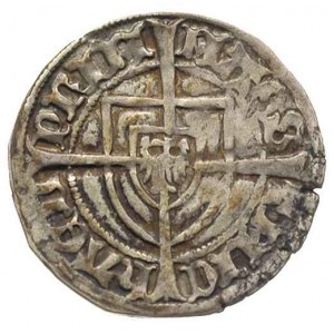 Michał Küchmeister von Sternberg 1414-1422, szeląg, Aw:...
