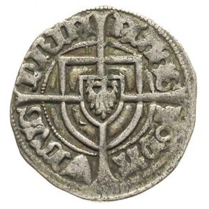 Paweł von Russdorf 1422-1441, szeląg, Toruń, Aw: Tarcza...