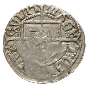Konrad von Erlichshausen 1441-1449, szeląg, Aw: Tarcza ...