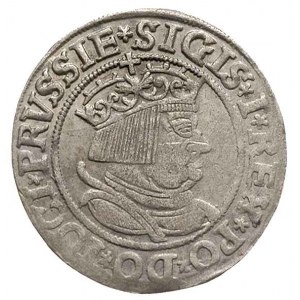 grosz 1534, Toruń