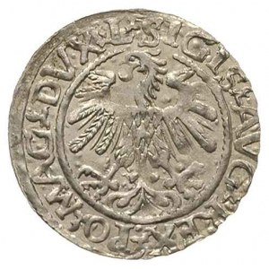 półgrosz 1560, Wilno, Ivanauskas 4SA95-24, bardzo ładny...